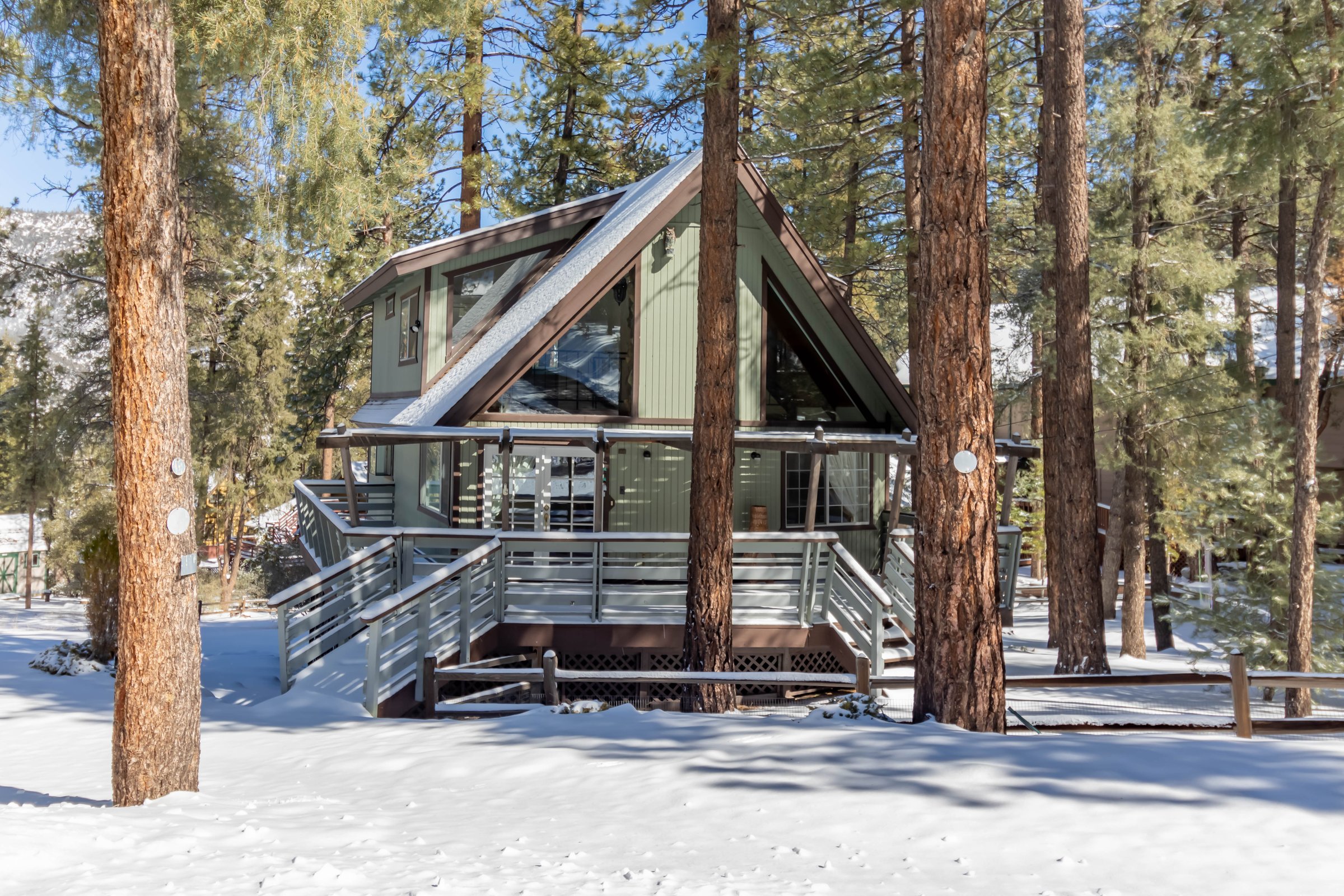 Green A-frame cabin among tall pines after a fresh snowfall