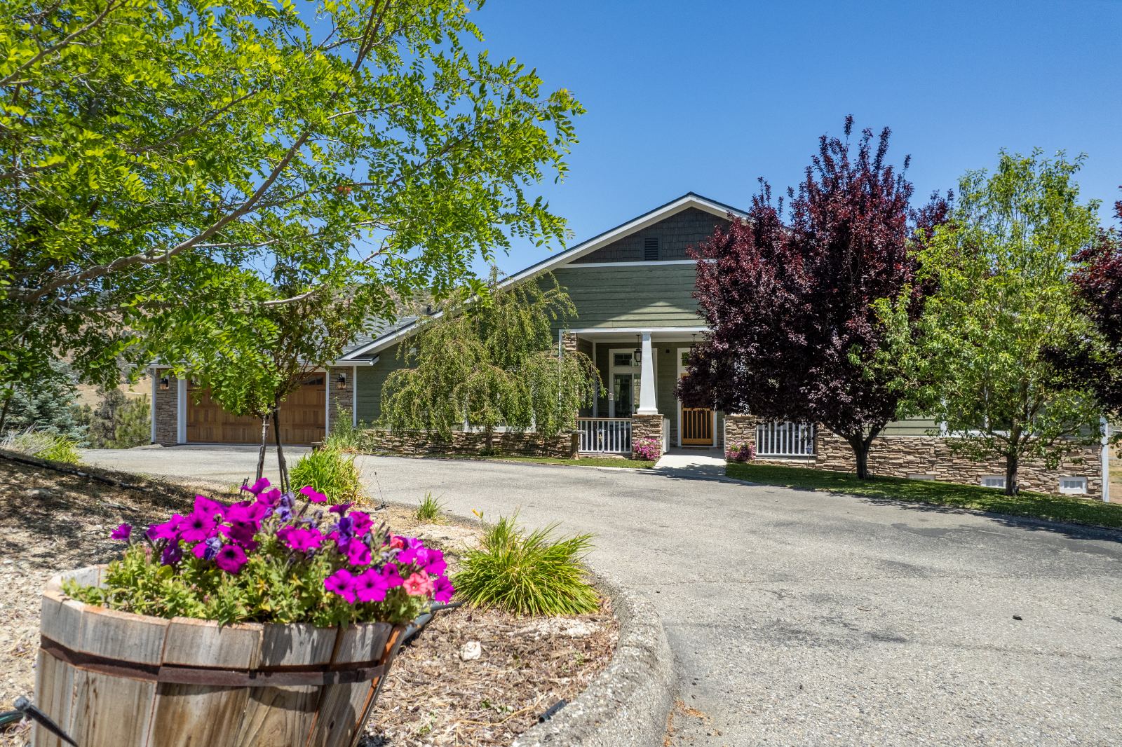 Craftsman home front elevation among mature pines